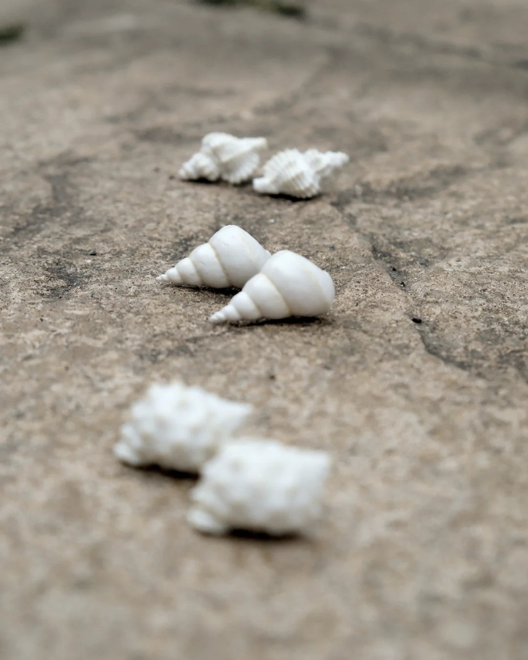 White Shell Stud Earrings