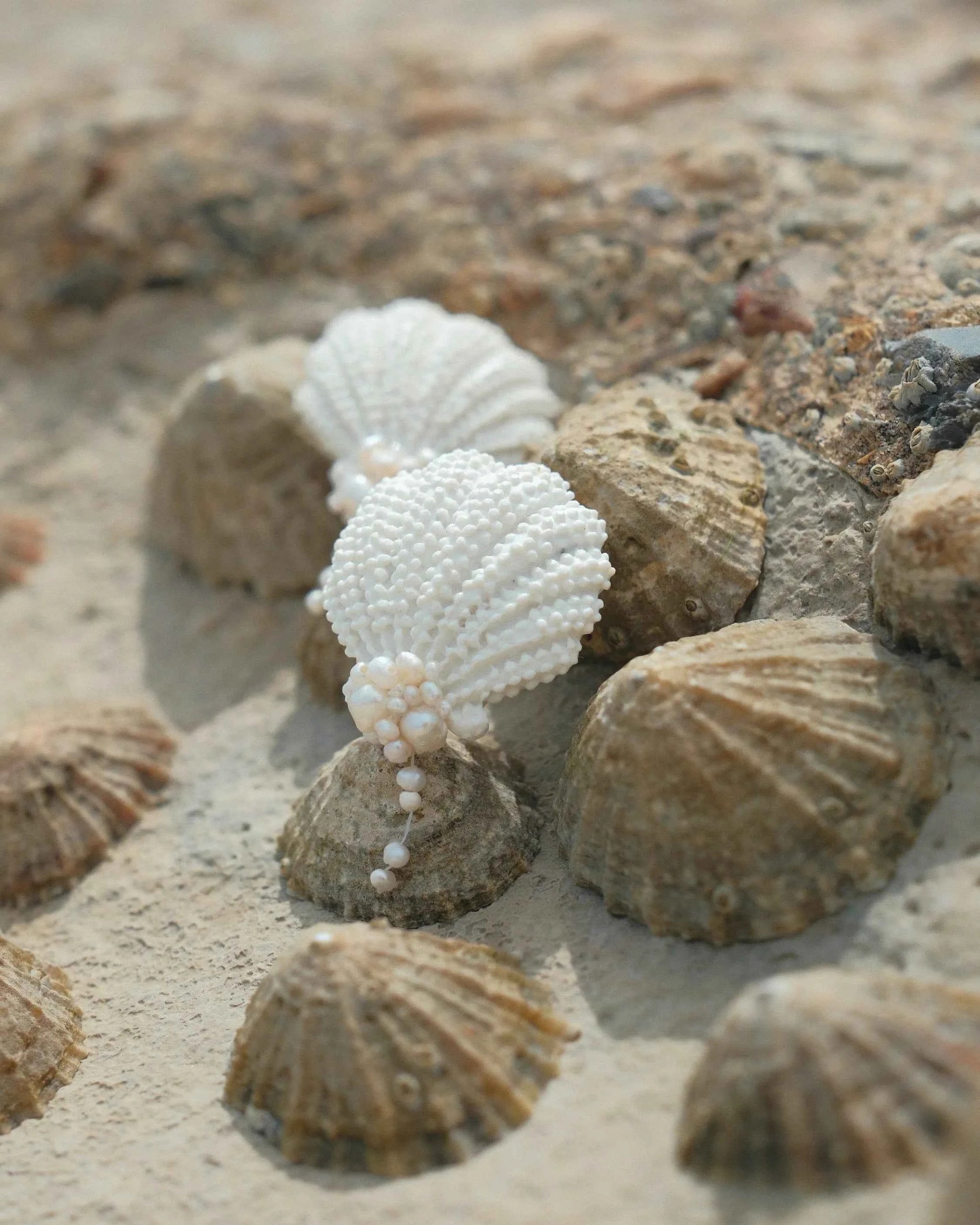Coastal Shell Bridal Earrings with Freshwater Pearls