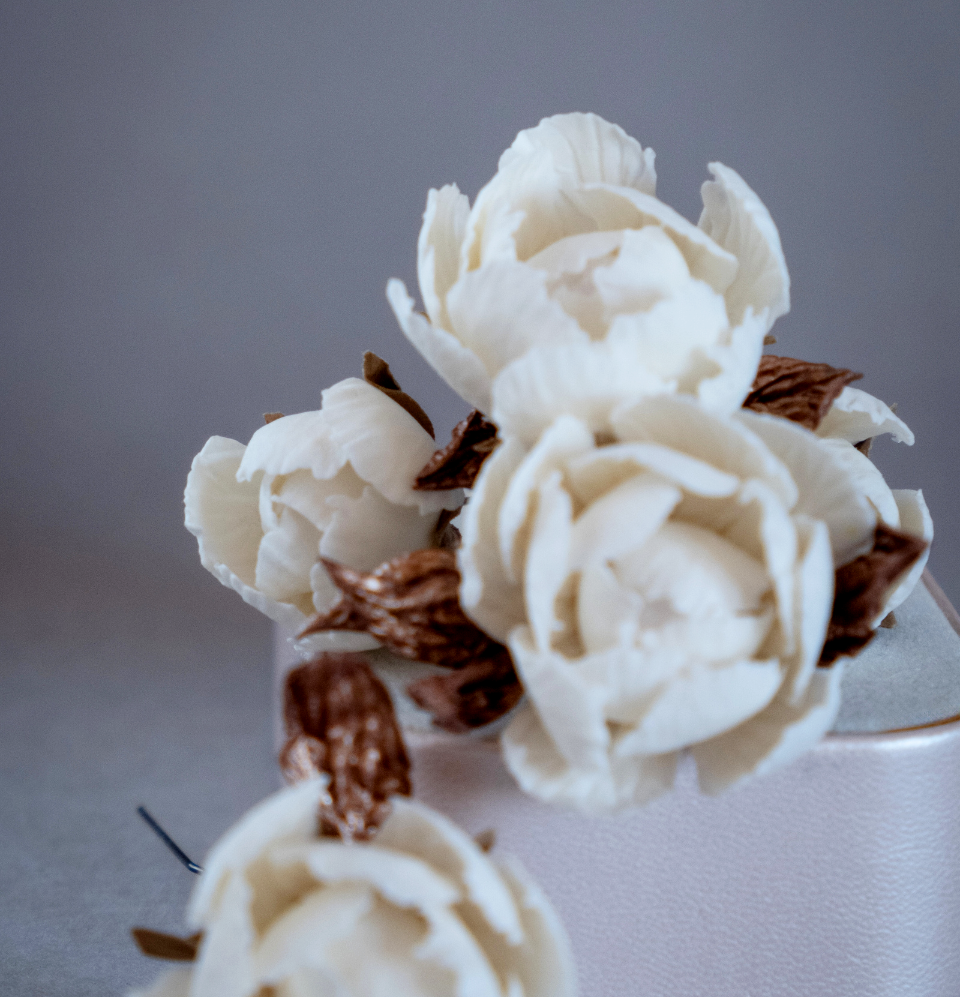 White flowers with bronze colour leaves set