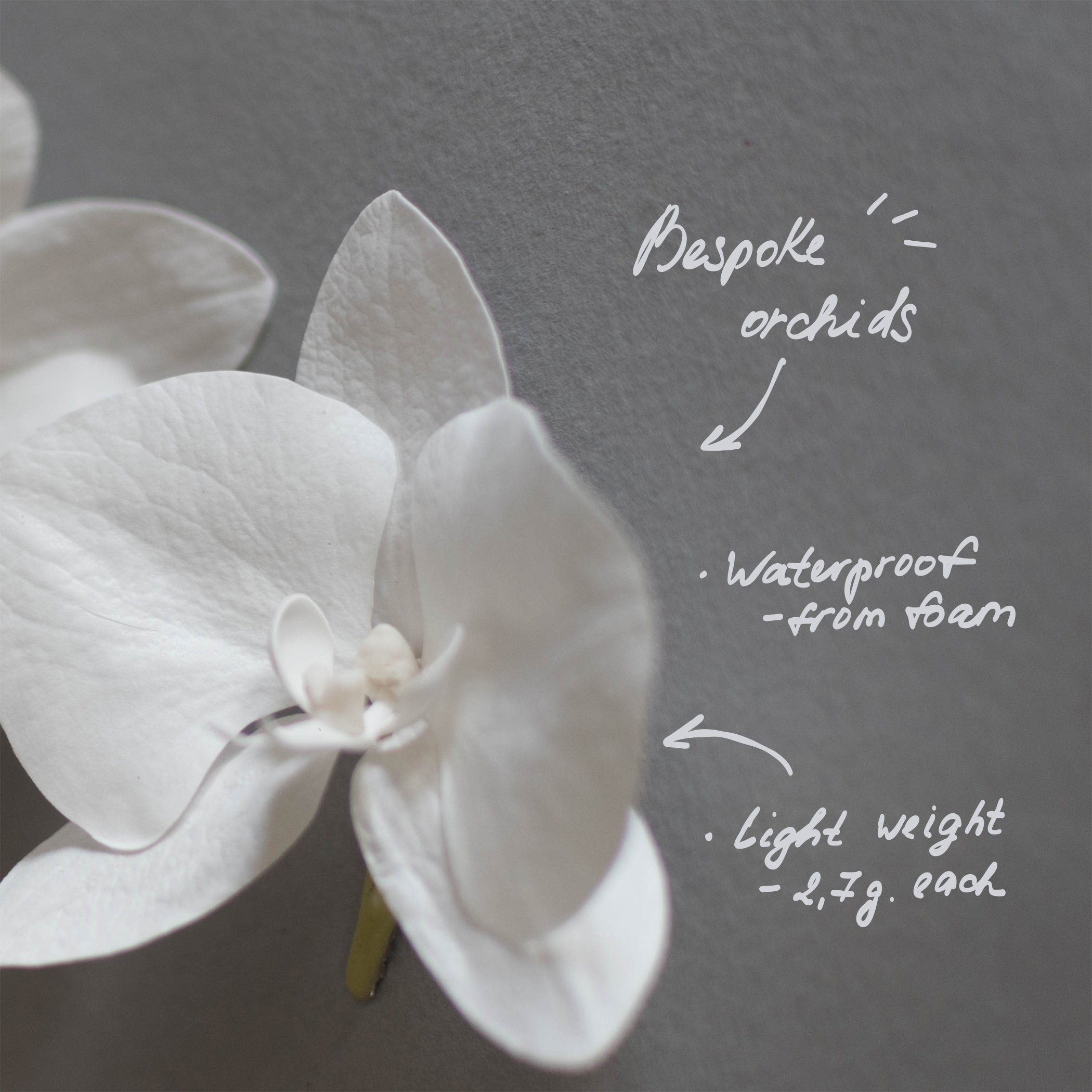 2 White Phalaenopsis Orchid for veil