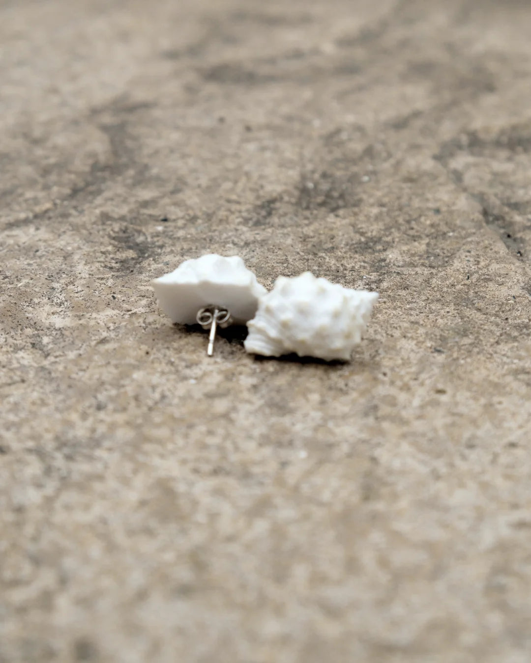 White Shell Stud Earrings