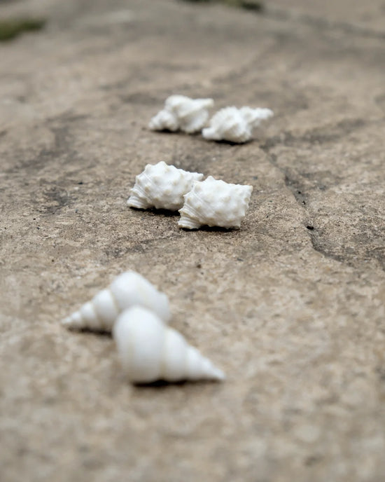 White Shell Stud Earrings