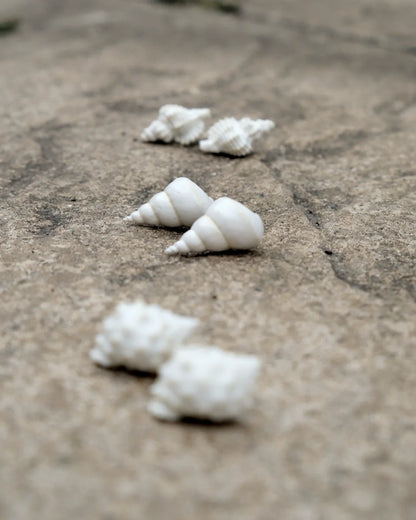 White Shell Stud Earrings