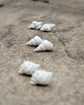 White Shell Stud Earrings