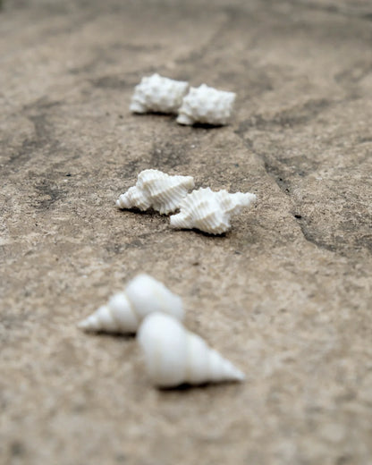 White Shell Stud Earrings