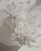 White Floral Statement Earrings