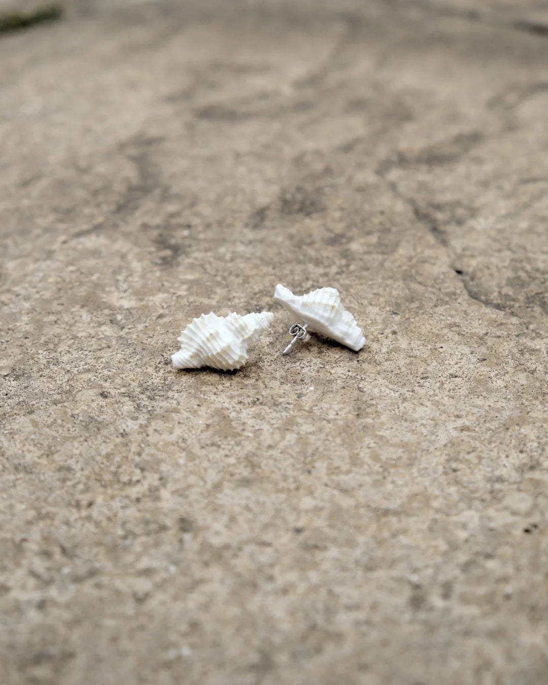 White Shell Stud Earrings