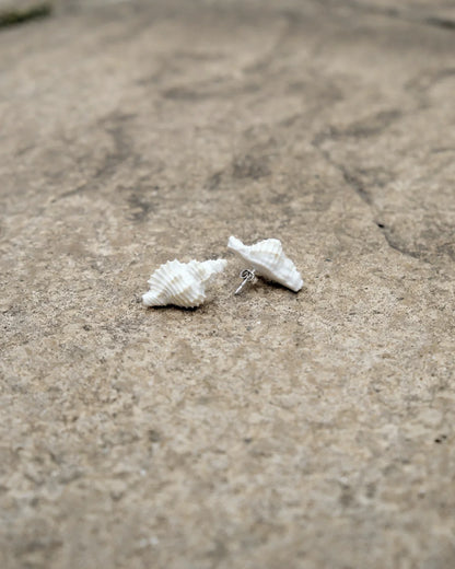 White Shell Stud Earrings