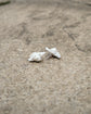 White Shell Stud Earrings