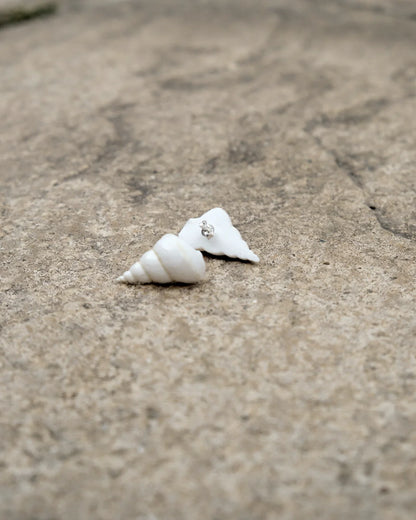 White Shell Stud Earrings
