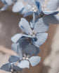 Bespoke Baby Blue Hydrangea Hair Pins