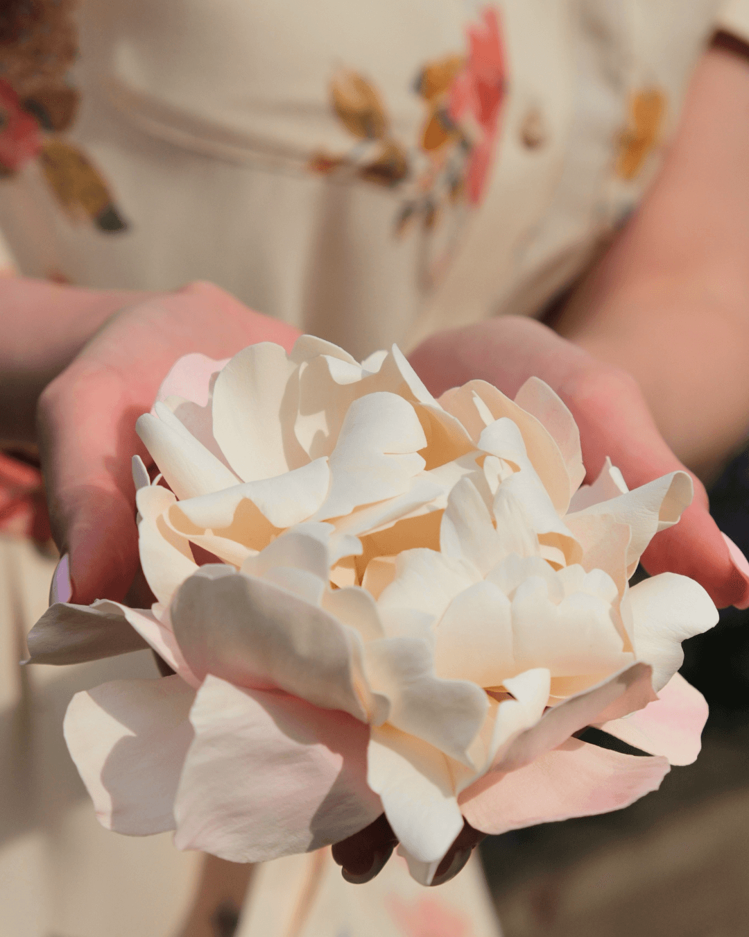 Blush Peony Hairpiece &amp; Brooch