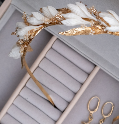 Elegant Tiara and Earrings Set
