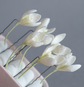 White snowdrops hair pins set