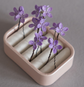 Violet lilac flowers
