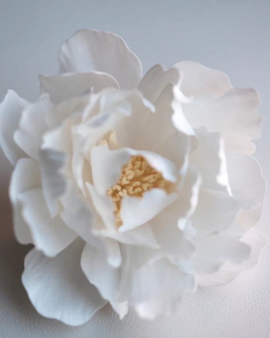 White Peony Hair Clip & Brooch