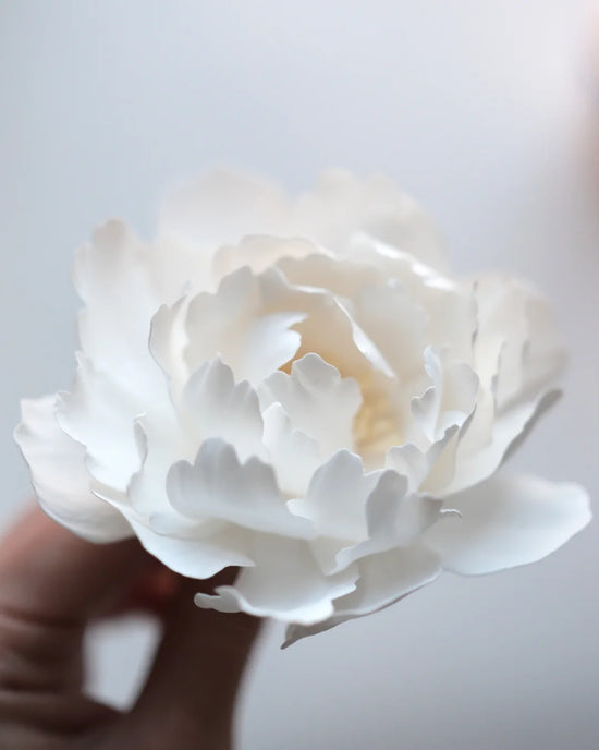 White Peony Hair Clip & Brooch
