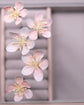 Cherry blossom hair pins