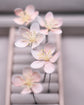 Cherry blossom hair pins