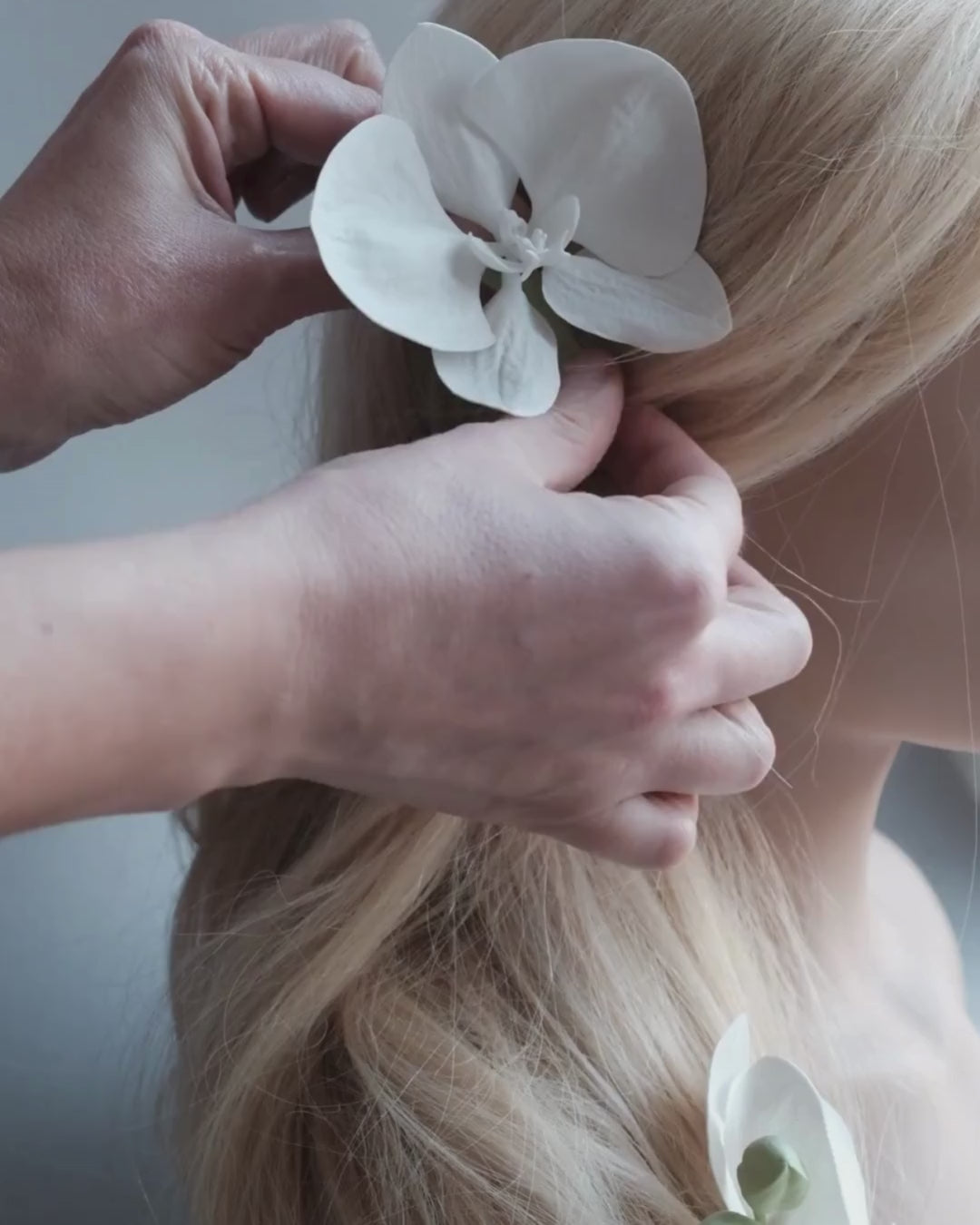 Orchids clip