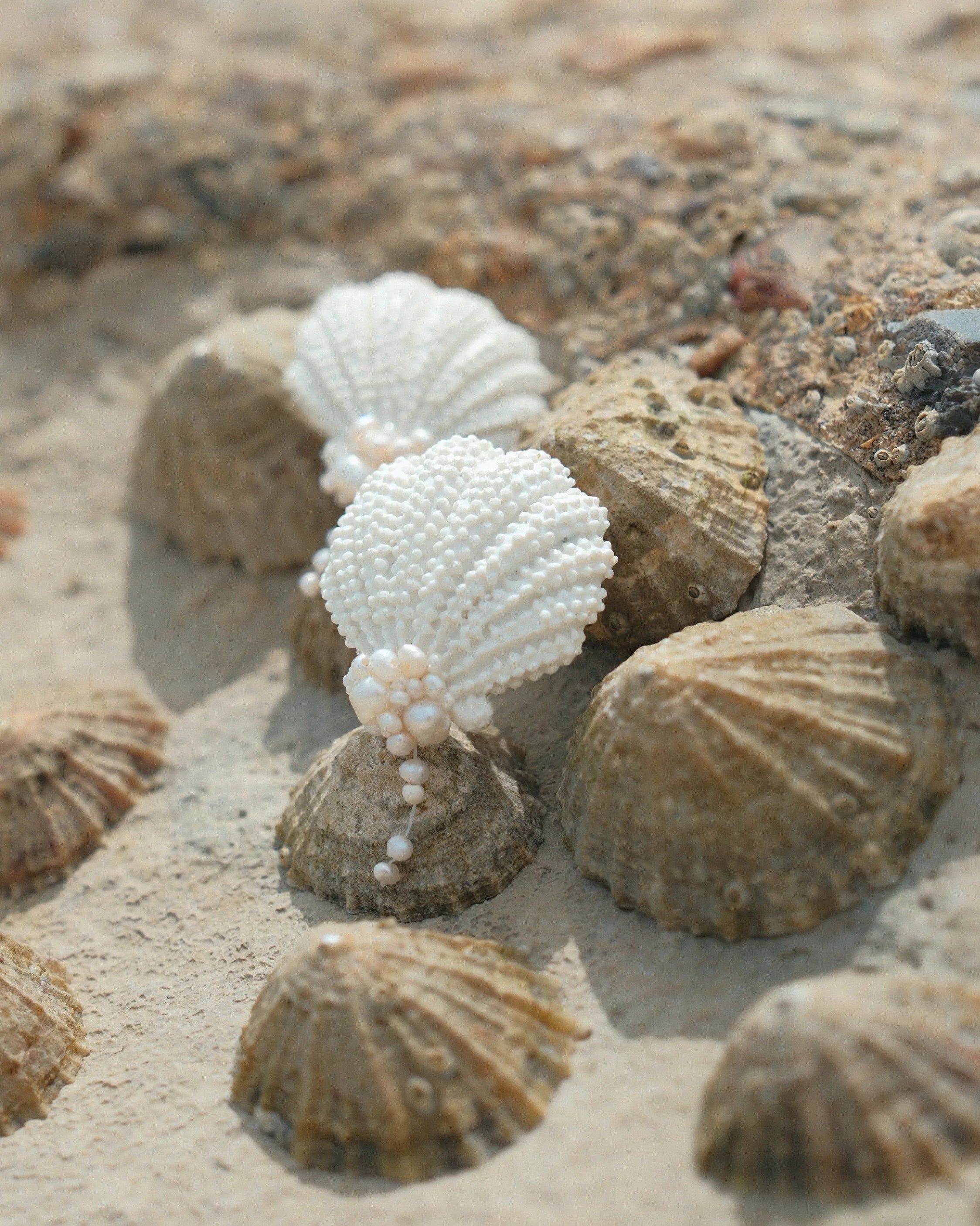 White textured shell-shaped earrings resting on a sandy beach among natural seashells.