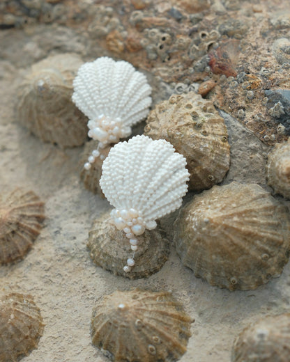 A pair of shell-shaped earrings made of white seed beads, resting on a sandy surface surrounded by real sea urchin shells.