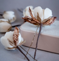 White flowers with bronze colour leaves set