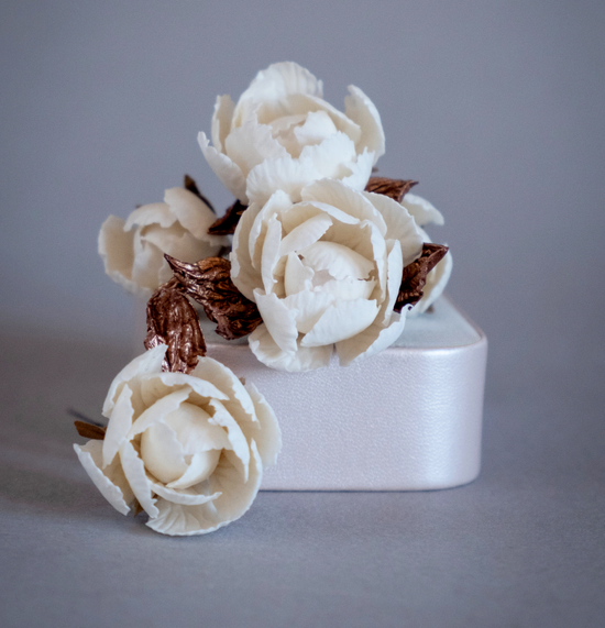 White flowers with bronze colour leaves set