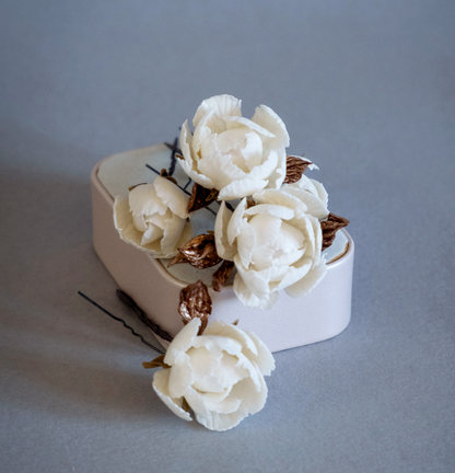 White flowers with bronze colour leaves set