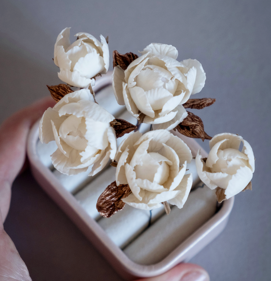 White flowers with bronze colour leaves set