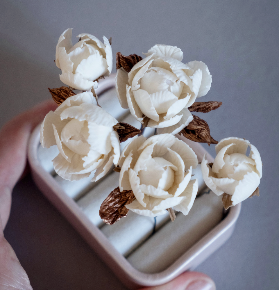 White flowers with bronze colour leaves set
