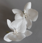 2 White Phalaenopsis Orchid for veil